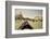 Tourist Ride in Gondolas on the Grand Canal in Venice, Italy-David Noyes-Framed Photographic Print