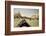 Tourist Ride in Gondolas on the Grand Canal in Venice, Italy-David Noyes-Framed Photographic Print