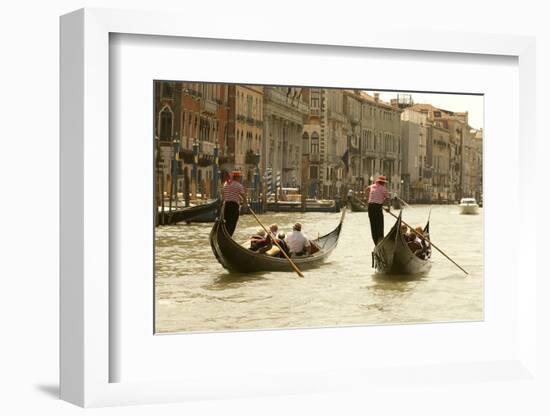 Tourist Ride in Gondolas on the Grand Canal in Venice, Italy-David Noyes-Framed Photographic Print
