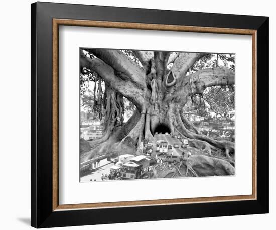 Tourist Trap-Thomas Barbey-Framed Giclee Print