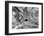 Tourist Trap-Thomas Barbey-Framed Giclee Print