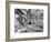 Tourist Trap-Thomas Barbey-Framed Giclee Print