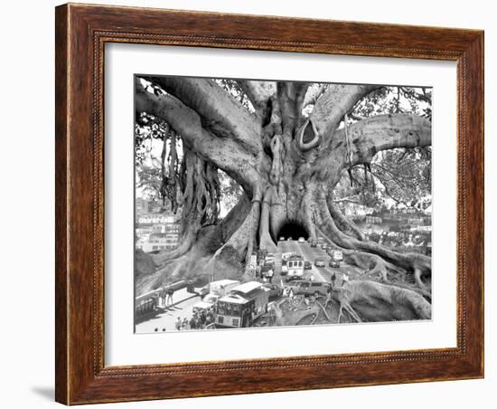 Tourist Trap-Thomas Barbey-Framed Giclee Print