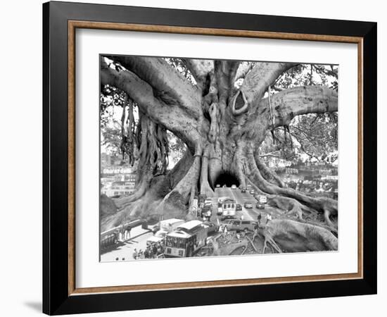 Tourist Trap-Thomas Barbey-Framed Giclee Print