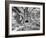 Tourist Trap-Thomas Barbey-Framed Giclee Print