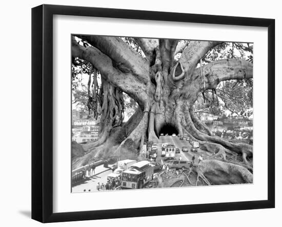 Tourist Trap-Thomas Barbey-Framed Giclee Print