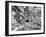 Tourist Trap-Thomas Barbey-Framed Giclee Print