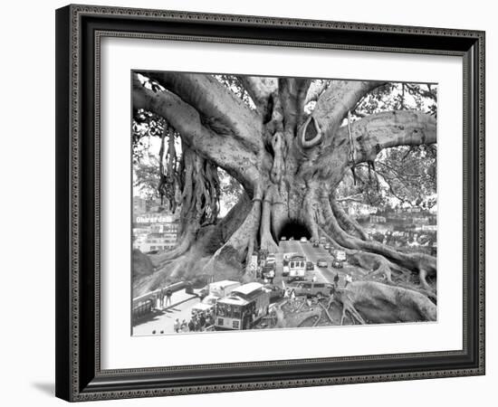 Tourist Trap-Thomas Barbey-Framed Giclee Print