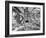 Tourist Trap-Thomas Barbey-Framed Giclee Print