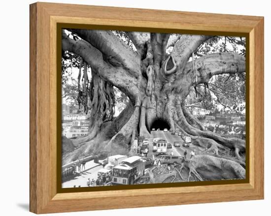 Tourist Trap-Thomas Barbey-Framed Premier Image Canvas