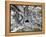 Tourist Trap-Thomas Barbey-Framed Premier Image Canvas