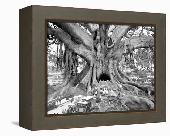 Tourist Trap-Thomas Barbey-Framed Premier Image Canvas