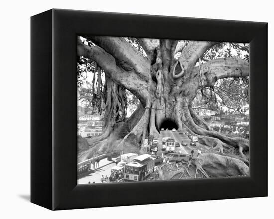 Tourist Trap-Thomas Barbey-Framed Premier Image Canvas