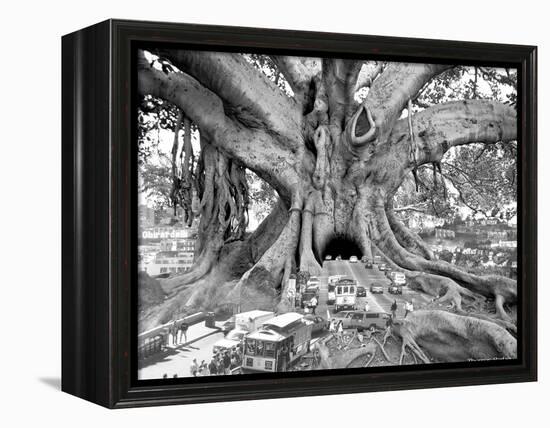 Tourist Trap-Thomas Barbey-Framed Premier Image Canvas