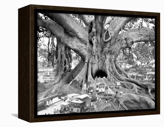 Tourist Trap-Thomas Barbey-Framed Premier Image Canvas