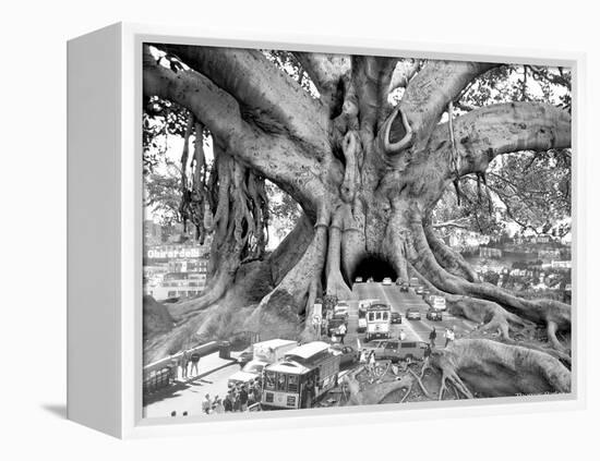 Tourist Trap-Thomas Barbey-Framed Premier Image Canvas