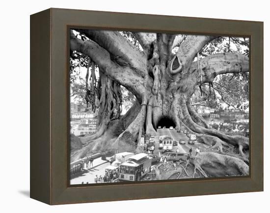 Tourist Trap-Thomas Barbey-Framed Premier Image Canvas