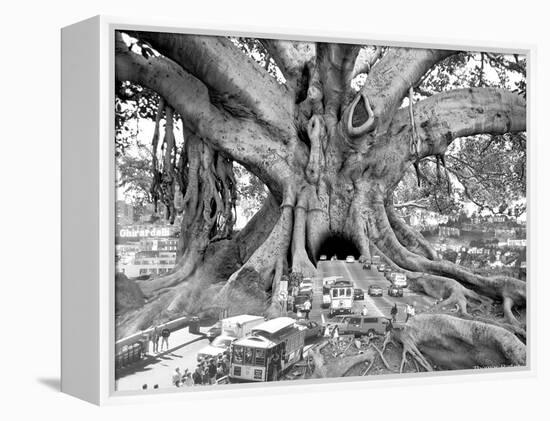 Tourist Trap-Thomas Barbey-Framed Premier Image Canvas