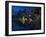 Tourist View.-Juan Pablo De-Framed Photographic Print