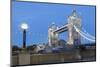 Tourists and Passers by Stop to Take Pictures of Tower Bridge at Dusk-Charlie Harding-Mounted Photographic Print