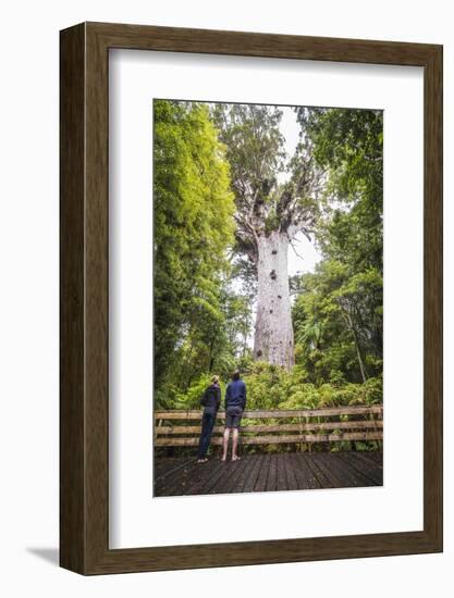 Tourists at Tane Mahuta (Lord of the Forest), the Largest Kauri Tree in New Zealand-Matthew Williams-Ellis-Framed Photographic Print