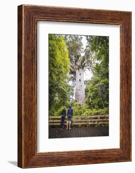 Tourists at Tane Mahuta (Lord of the Forest), the Largest Kauri Tree in New Zealand-Matthew Williams-Ellis-Framed Photographic Print