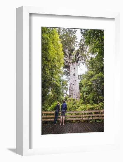 Tourists at Tane Mahuta (Lord of the Forest), the Largest Kauri Tree in New Zealand-Matthew Williams-Ellis-Framed Photographic Print