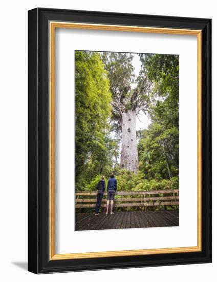 Tourists at Tane Mahuta (Lord of the Forest), the Largest Kauri Tree in New Zealand-Matthew Williams-Ellis-Framed Photographic Print