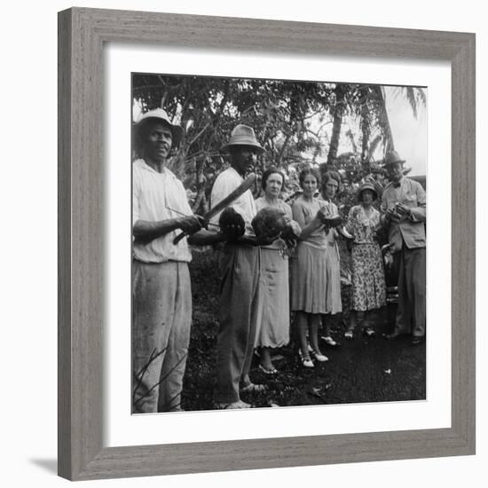 Tourists During a Halt by the Wayside, St Vincent, 1931-null-Framed Photographic Print