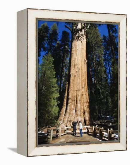 Tourists Dwarfed by the General Sherman Sequoia Tree, Sequoia National Park, California, USA-Kober Christian-Framed Premier Image Canvas