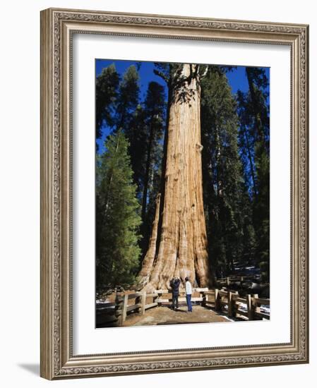 Tourists Dwarfed by the General Sherman Sequoia Tree, Sequoia National Park, California, USA-Kober Christian-Framed Photographic Print