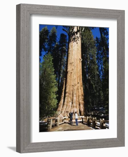 Tourists Dwarfed by the General Sherman Sequoia Tree, Sequoia National Park, California, USA-Kober Christian-Framed Photographic Print