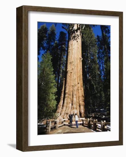 Tourists Dwarfed by the General Sherman Sequoia Tree, Sequoia National Park, California, USA-Kober Christian-Framed Photographic Print