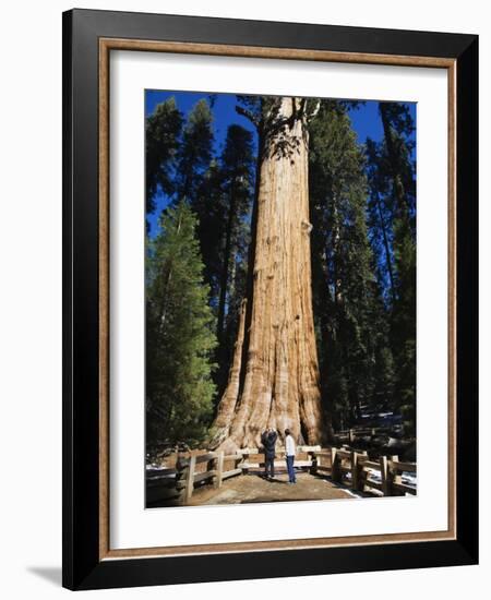 Tourists Dwarfed by the General Sherman Sequoia Tree, Sequoia National Park, California, USA-Kober Christian-Framed Photographic Print