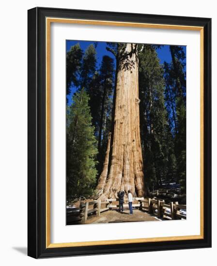 Tourists Dwarfed by the General Sherman Sequoia Tree, Sequoia National Park, California, USA-Kober Christian-Framed Photographic Print