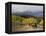 Tourists Enjoying Horseback Riding, Grand Teton National Park, Wyoming, USA-Rolf Nussbaumer-Framed Premier Image Canvas