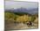 Tourists Enjoying Horseback Riding, Grand Teton National Park, Wyoming, USA-Rolf Nussbaumer-Mounted Photographic Print