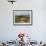 Tourists Enjoying Horseback Riding, Grand Teton National Park, Wyoming, USA-Rolf Nussbaumer-Framed Photographic Print displayed on a wall