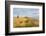 Tourists hiking along the border between Georgia and Azerbaijan near David Gareji Monastery, Udabno-Jan Miracky-Framed Photographic Print