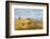 Tourists hiking along the border between Georgia and Azerbaijan near David Gareji Monastery, Udabno-Jan Miracky-Framed Photographic Print