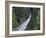 Tourists in Capilano Suspension Bridge and Park, Vancouver, British Columbia, Canada-Christian Kober-Framed Photographic Print