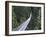 Tourists in Capilano Suspension Bridge and Park, Vancouver, British Columbia, Canada-Christian Kober-Framed Photographic Print