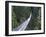 Tourists in Capilano Suspension Bridge and Park, Vancouver, British Columbia, Canada-Christian Kober-Framed Photographic Print