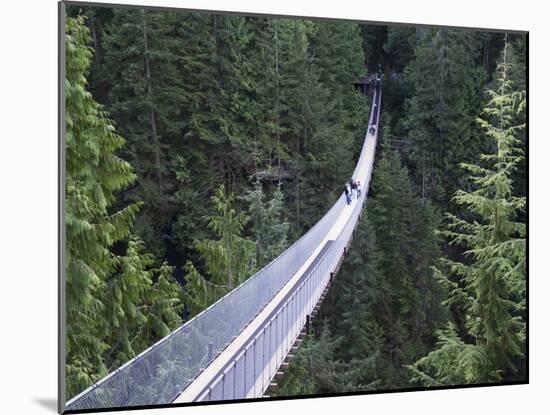 Tourists in Capilano Suspension Bridge and Park, Vancouver, British Columbia, Canada-Christian Kober-Mounted Photographic Print