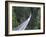 Tourists in Capilano Suspension Bridge and Park, Vancouver, British Columbia, Canada-Christian Kober-Framed Photographic Print