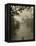 Tourists in Dugout Canoe, Yasuni National Park Biosphere Reserve, Amazon Rain Forest, Ecuador-Pete Oxford-Framed Premier Image Canvas