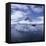 Tourists in Rigid Inflatable Boat Approach a Seal Lying on the Ice, Antarctica-Geoff Renner-Framed Premier Image Canvas