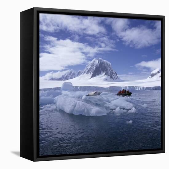 Tourists in Rigid Inflatable Boat Approach a Seal Lying on the Ice, Antarctica-Geoff Renner-Framed Premier Image Canvas