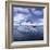 Tourists in Rigid Inflatable Boat Approach a Seal Lying on the Ice, Antarctica-Geoff Renner-Framed Photographic Print