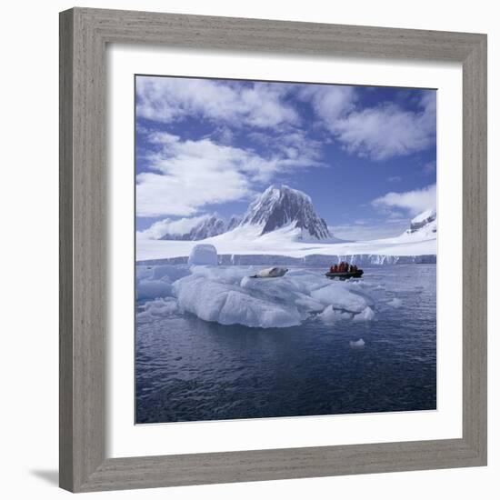 Tourists in Rigid Inflatable Boat Approach a Seal Lying on the Ice, Antarctica-Geoff Renner-Framed Photographic Print